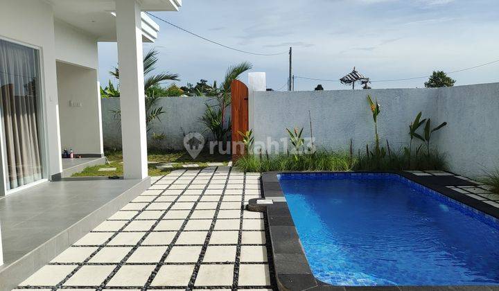 Villa For Rent Padonan Kerobokan  2