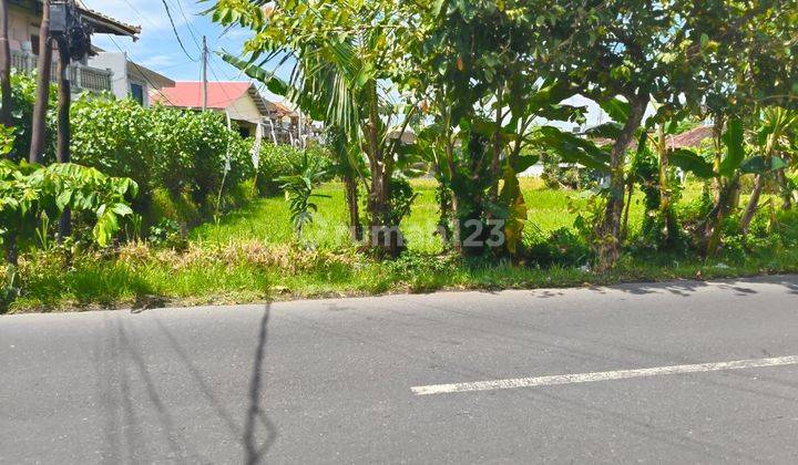 Tanah Sewa Jalan Utama Gunung Salak Kerobokan 1