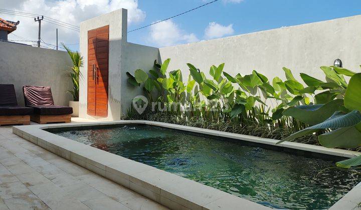 New Modern Villa For Rent Pererenan 1