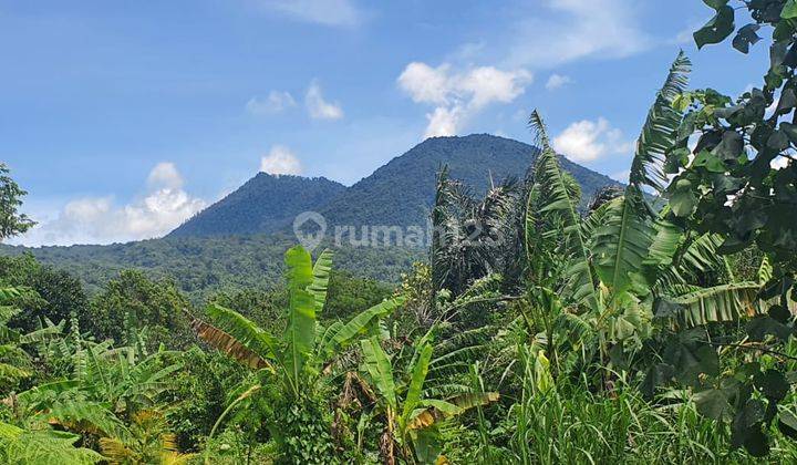 Tanah Cantik View Gunung Dan Kota Jatiluwih Tabanan 1