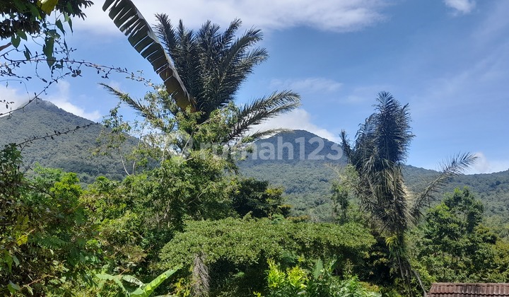 Tanah Cantik dengan Udara Nya yang Sejuk, View Gunung dan Kota Jatiluwih , Cocok Buat Healing