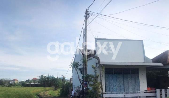 Rice Field View House in Arjuna Dalung Badung, Bali