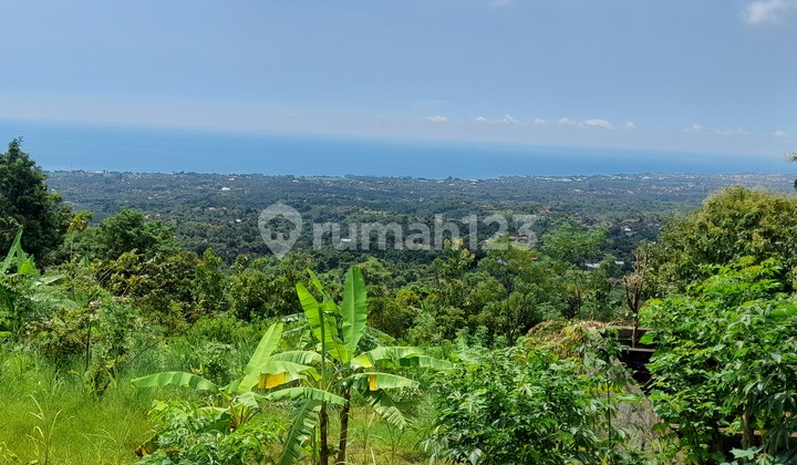 Dijual cepat tanah cantik  di Desa Kayu Putih , Buleleng