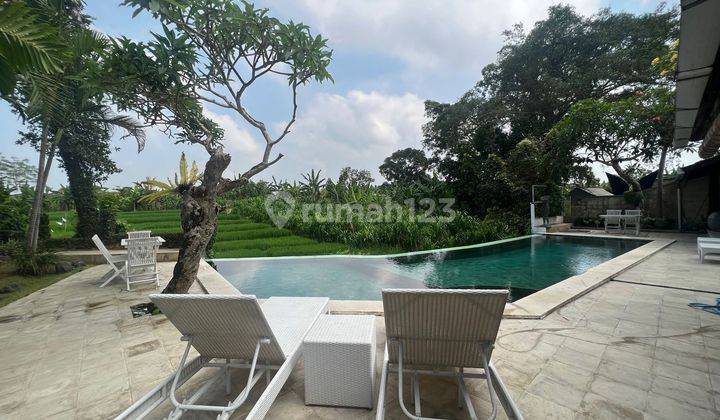 Tropical Villa with stunning rice field view Berawa Canggu 1