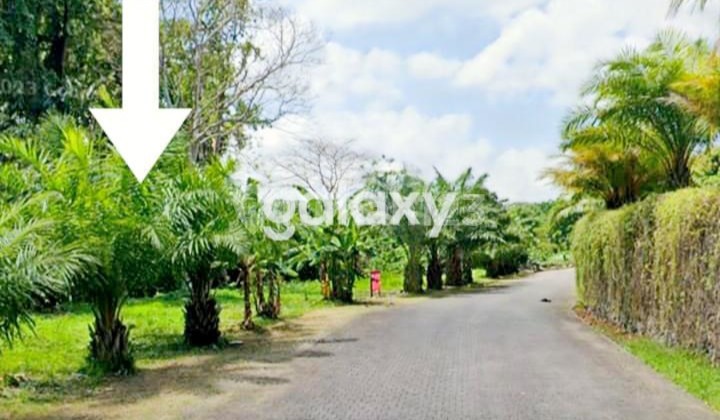 Dijual Tanah Greenlot Munggu Mengwi- Badung Bali