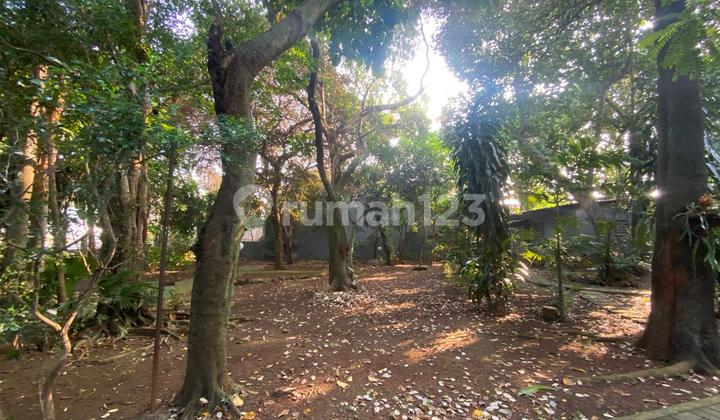 Rare Opportunity! For Sale Large Land with Free House Building in Premium Location South Cipete - Land Price Only!