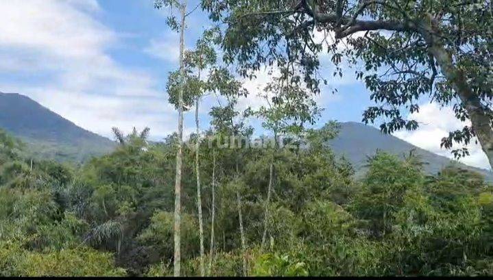 Tanah Cantik View Gunung Dan Kota Jatiluwih Tabanan 2