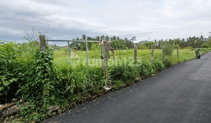 Tanah Cakep Buat Villa Dekat Ubud Palace