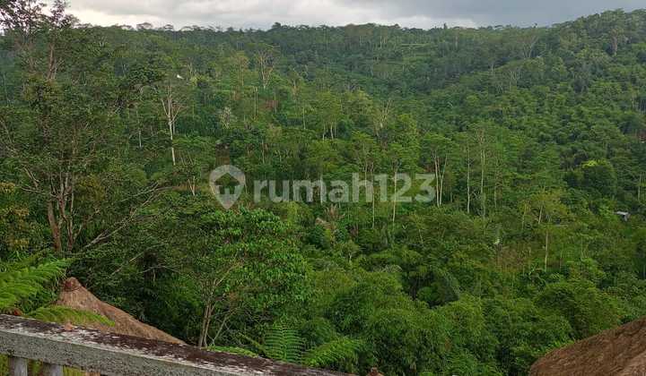 Bekas Villa dengan View Lembah di Tegalalang