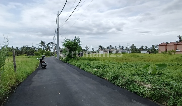 Tanah Cakep Buat Villa Dekat Ubud Palace