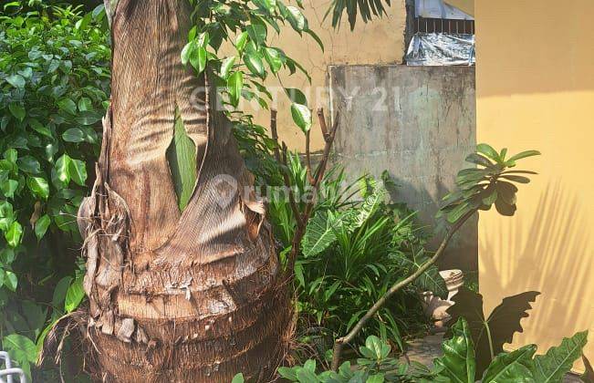 tampak depan dijual rumah satu lantai di