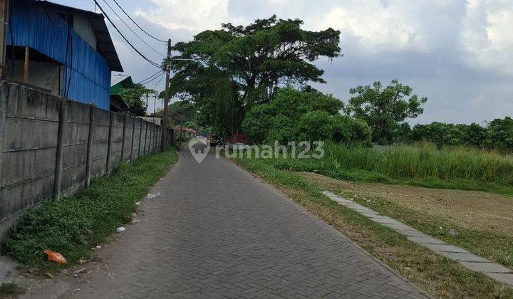 Dijual cepat tanah di rawa kucing Neglasari Tangerang 2