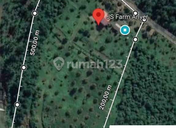 beli tanah bonus kebun durian, kebun alpukat, dan villa 2