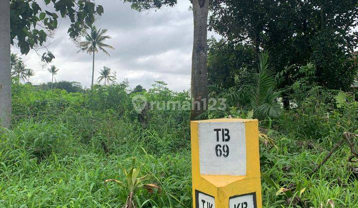 Dijual Dan Disewa Tanah Bandar Jaya, Lampung Tengah  2