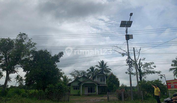 Dijual Dan Disewa Tanah Bandar Jaya, Lampung Tengah  1