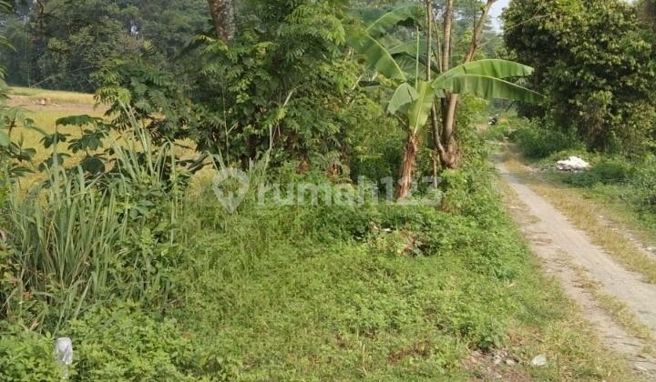 Di jual cepat Tanah di legok kab Tangerang Di jual cepat Tanah di legok kab Tangerang
