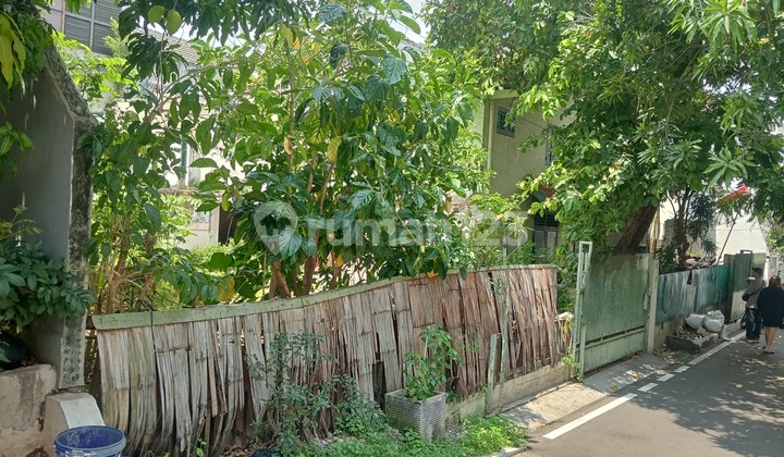 Investasi Pasti Untung, Tanah di Gunung Sahari 7 Dijual, Hanya Rp. 16 Juta/Meter