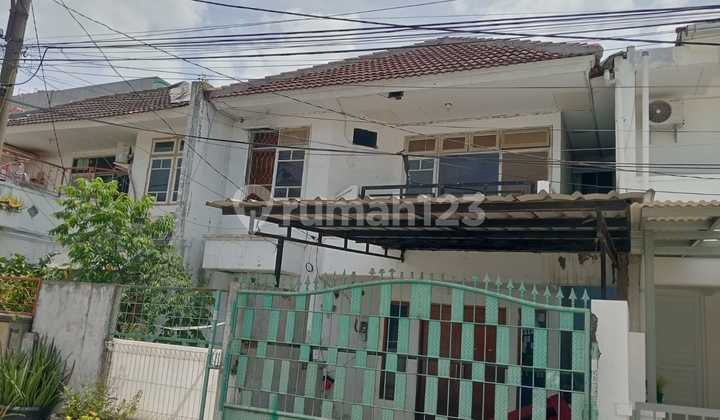 Dijual Rumah 2 Lantai Di Griya Dadap (lantai 2 Sarang Wallet Aktif - Lebih Dari 100 Ekor Wallet) Dijual Rumah 2 Lantai Di Griya Dadap (lantai 2 Sarang Wallet Aktif - Lebih Dari 100 Ekor Wallet)
