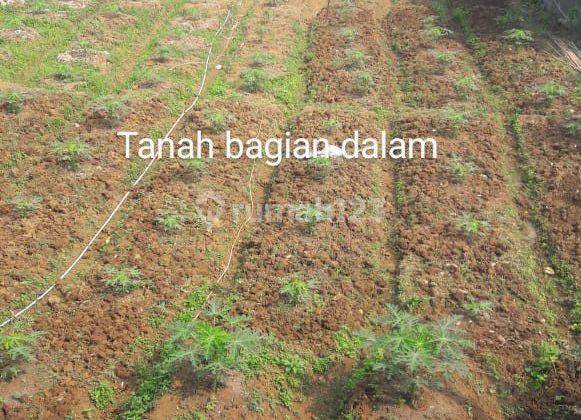 Dijual Tanah Murah Di Dago Parung Panjang 2