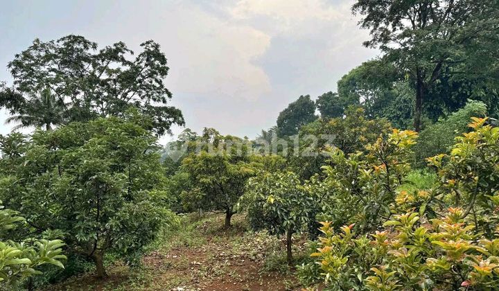 Murah Dibawah Harga Pasaran.jual Kavling SHM di Sentul Bogor. Luas 1187 . Dekat Rainbow Hills Golf