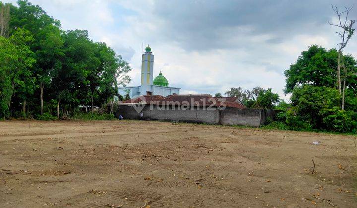 Tanah Murah Jogja, SHM 300 Jutaan Cocok Hunian Tinggal 2