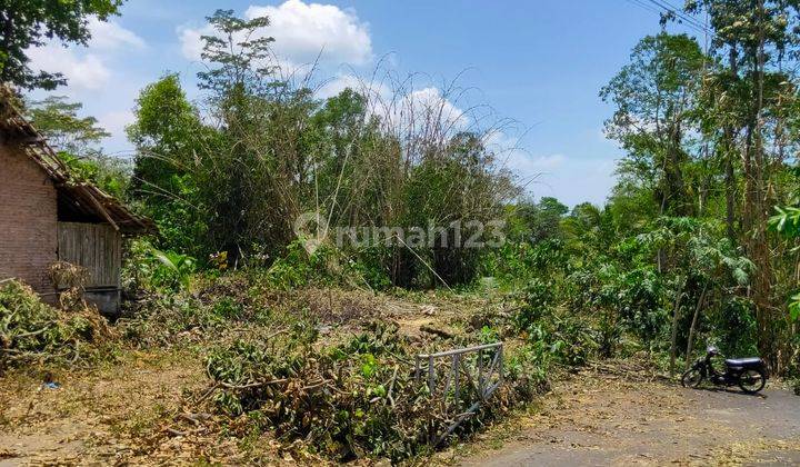 Dekat Kopi Klotok Kaliurang Jogja, 1 Jutaan Cocok Bisnis Villa 1