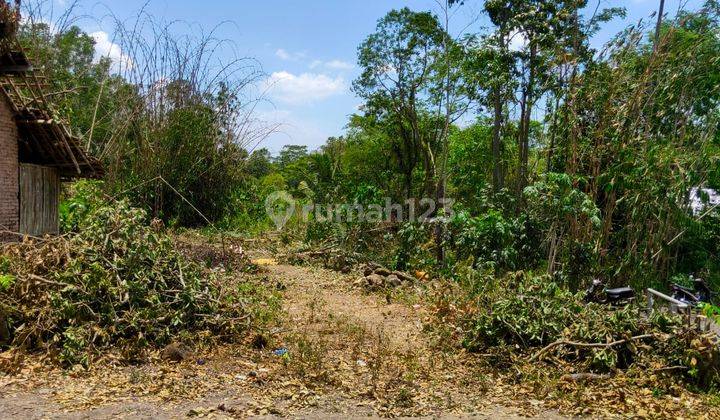 Dekat Kopi Klotok Kaliurang Jogja, 1 Jutaan Cocok Bisnis Villa 2