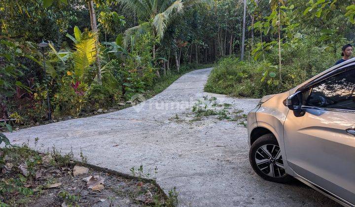 Dekat Polres Wates Tanah 179m2 SHM Siap Ajb Panjatan Kulon Progo 2