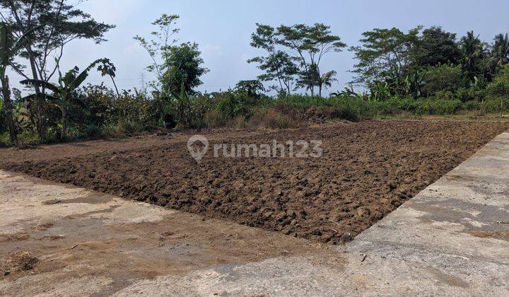 Tanah Cluster Dekat Bandara Yia Jalan Daendels Ngombol Purworejo 2