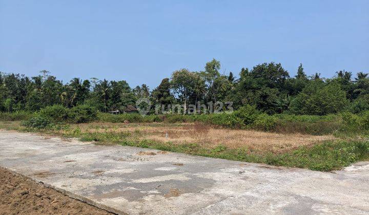 Tanah Cluster Dekat Bandara Yia Jalan Daendels Ngombol Purworejo 1