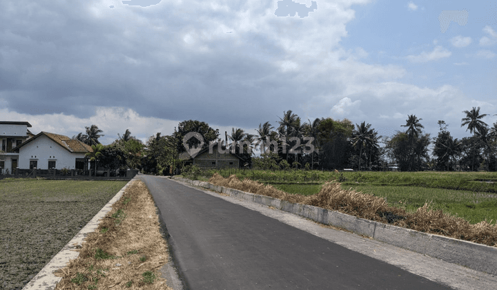 Tanah Pekarangan Tepi Jalan Dekat Exit Tol Borobudur Magelang 2