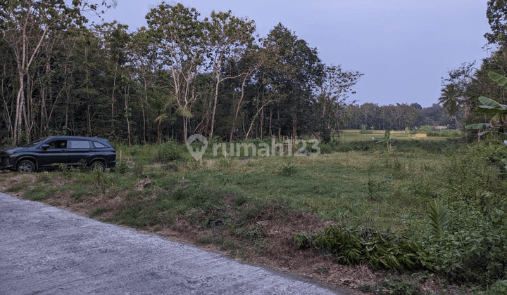 Investasi Tanah Jogja Barat Dekat Pintu Tol Banguncipto Sentolo