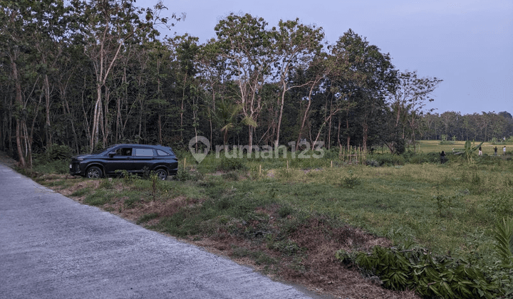 Investasi Tanah Jogja Barat Dekat Pintu Tol Banguncipto Sentolo 2