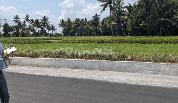 Tanah Tepi Jalan Dekat Candi Mendut Dan Candi Borobudur Mungkid