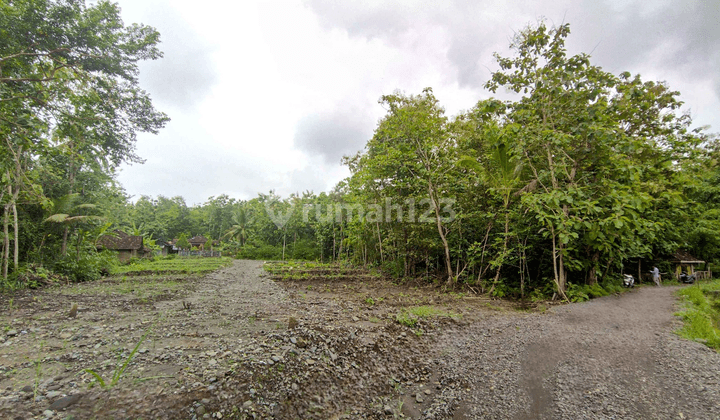 Tanah Jogja Barat Di Sentolo Kulon Progo Dekat Tol Banguncipto