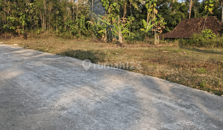 Tanah Murah Jogja Area Timur Bandara Yia Panjatan Kulon Progo 2