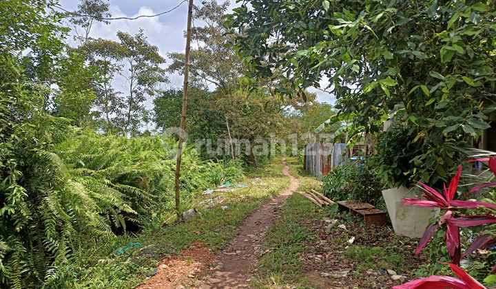 Dijual Tanah Wajok Hulu , Cocok U Pertanian Perkebunan Dll , Kabupaten Mempawah 2