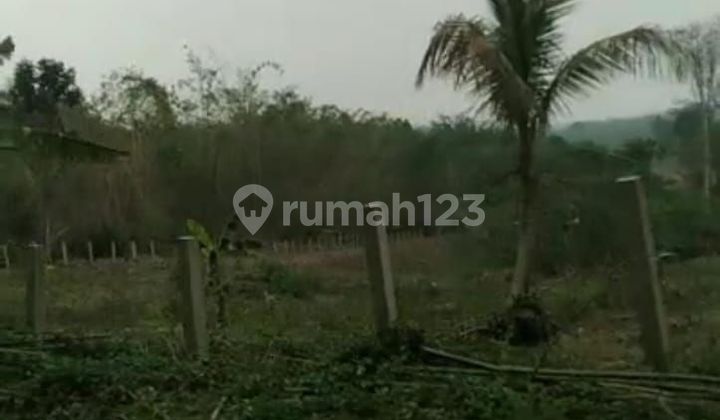 On the Land in Cileles Solear, Tangerang Regency