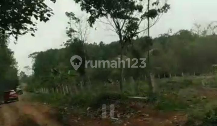 On the Land in Cileles Solear, Tangerang Regency