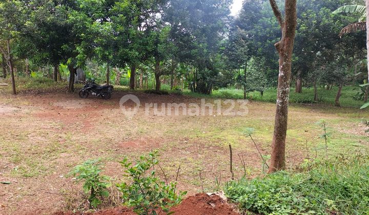 Land for Sale in Kadu Beureum, East Serang