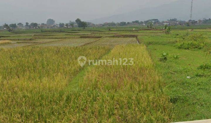 Tanah Sawah Strategis di Soreang Bandung  1