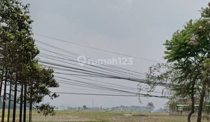 Tanah Sawah Strategis di Soreang Bandung  2