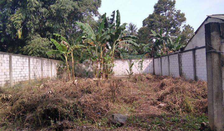 Tanah Luas di lokasi strategis dekat Roxy square Jember 2