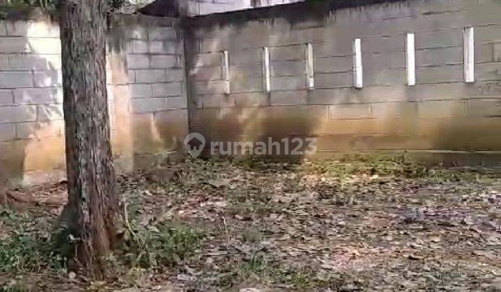 Tanah Komersil Murah Untuk Hunian Dan Usaha Di Sempursari  Jember 2