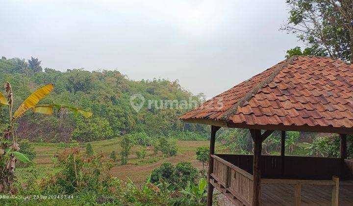 Tanah Darat & Tanah Sawah View Pesawahan Udara Sejuk  1