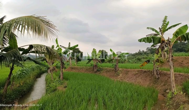 Sawah dan Tanah Darat Aktif Produktif Akses Masuk Mobil Sawah dan Tanah Darat Aktif Produktif Akses Masuk Mobil