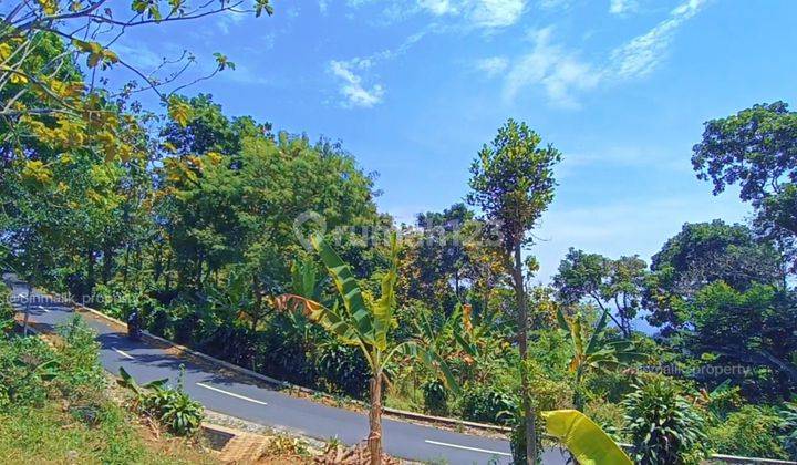 Tanah Produktif View Gunung Samping Jln Besar 2