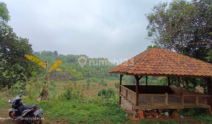 Tanah Darat & Tanah Sawah View Pesawahan Udara Sejuk  2