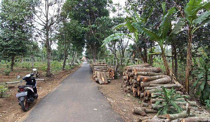 TANAH PRODUKTIF MURAH PINGGIR JALAN MOBIL  1