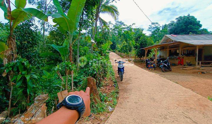 Tanah kebun samping jalan strategis view gunung  1